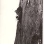 Stěna Trollů 1976 - lezení ve stěně