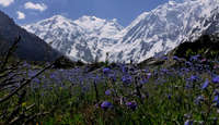 Nanga Parbat 2012