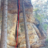 topo