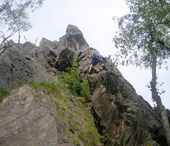 Cesta lesní moudrosti
