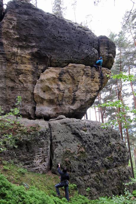 Jiřiny pro Jiřinu