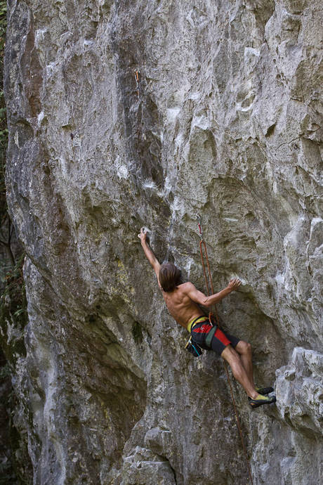 holstejn-v buci-mistruv mistr holstejn-v buci-mistruv mistr