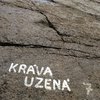 Kráva uzená 1