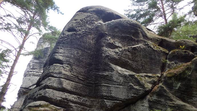 Drábské světničky - Svatá Anežka, Pohovor s bláznem