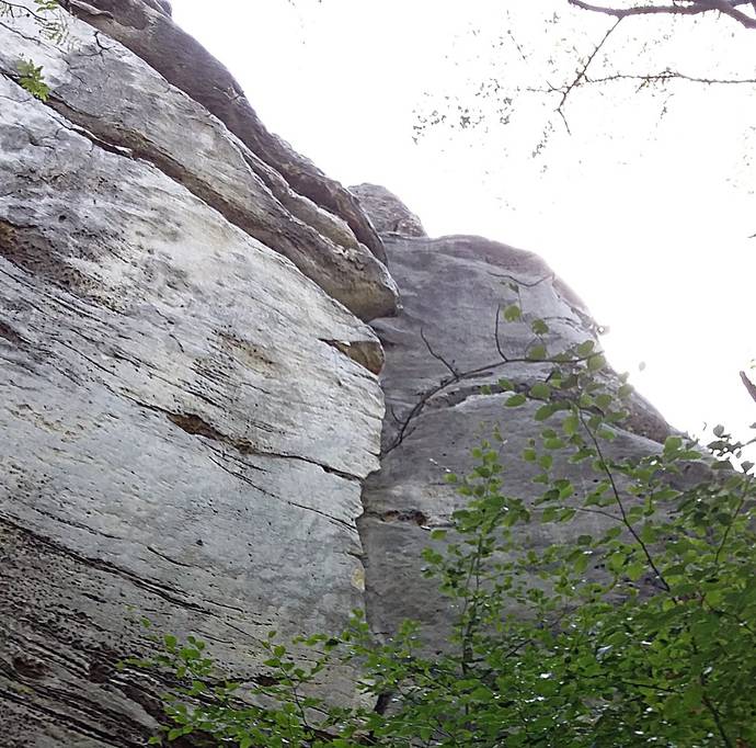 Drábské světničky - Rovné skály, Sbírání borůvek,spárokomín