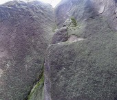 Za korunu hlavou dolů