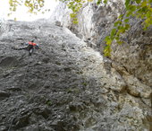 Střed plotny