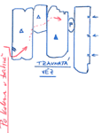 travnata-po-kolena-v-bahne