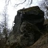 Apolonka