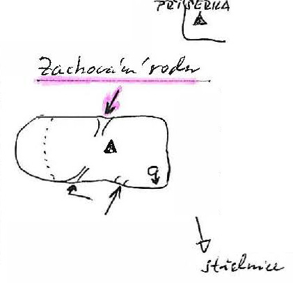 topo_Koruna_Zachovani rodu