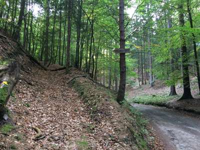odbočka