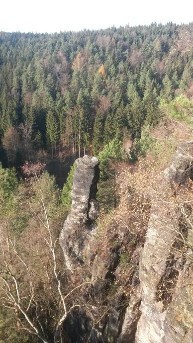 motýlí kužel, foto Jan Krejcar motýlí kužel, foto Jan Krejcar