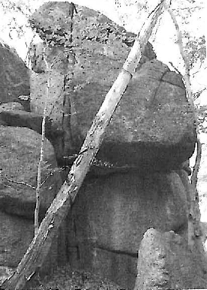 stolpich_ovci-skala_snaziva