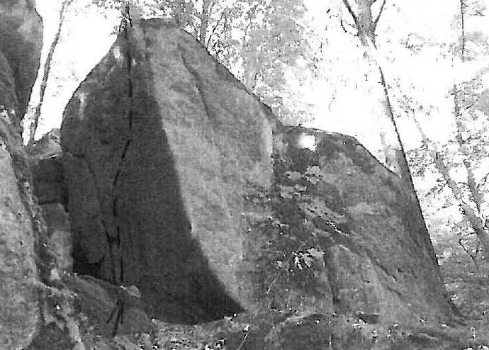 stolpich_stado_posledni-vanuv-skok