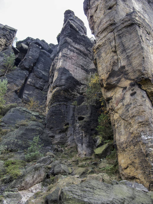 Netopýří stěna, foto P. Jandík Netopýří stěna, foto P. Jandík