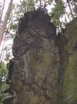 molo01 molo01