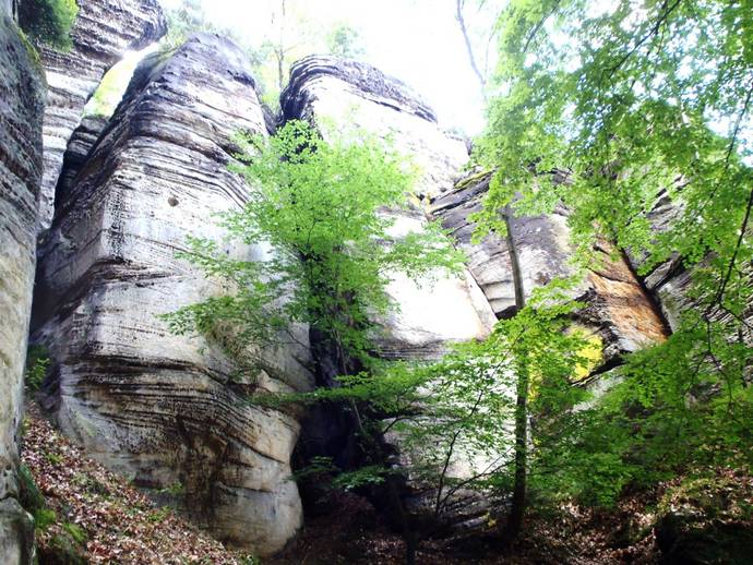 Plachta, zleva HORKÉ HLAVY, TĚŽKO ANEŽKO, TŮRUJU, TŮRUJU a BĚR, foto Míla Vaníček 