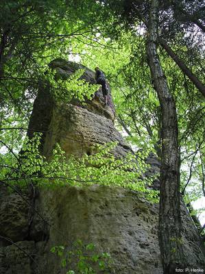 Kýsa, prvovýstup