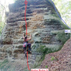topo