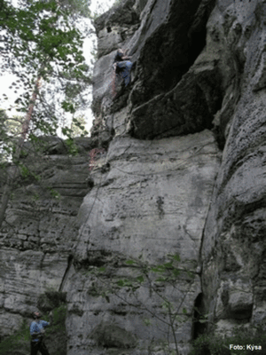 Velký břicho