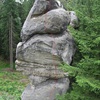 Paroháč