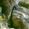 Hadovka