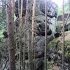 Foto V. Kolinský