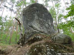 DAS LEBEN IST EINE ILLUSION