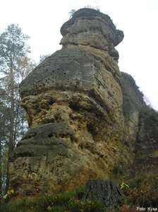Hřib Hřib