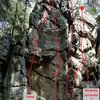 TOPO CESTA VERICICH