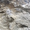 Eiger