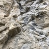 Irský cob