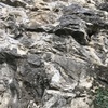 Cesta 9
