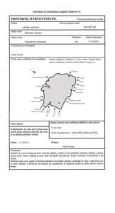 Magnéziová velezrada_protokol