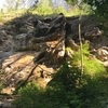 Foto P. Jandík