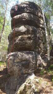 KŮROVEC