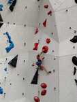 IMG-8838