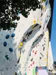 IMG-8855