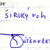 mapka DF. Mewzera