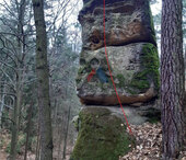 Kocourek rád rybičku