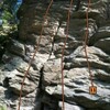 V lese3 (zdroj: crag.com)