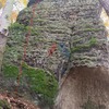 topo