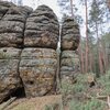 Tchoř, foto Tomáš Hruš, 23.3. 2025