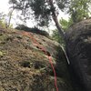 Chlupatá