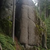 Prstožrout