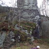 Sosnovská palice