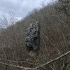 Zrzavá cesta, Párátko, foto M. Tučka 3/2024