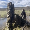 Paroháč, Pakosta, foto M. Tučka 3/2024