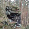 Sosnovská palice