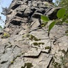 foto P. Jandík 
